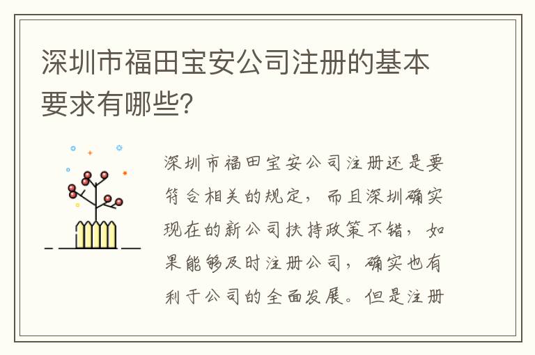 深圳市福田寶安公司注冊的基本要求有哪些？