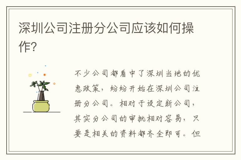 深圳公司注冊分公司應該如何操作？
