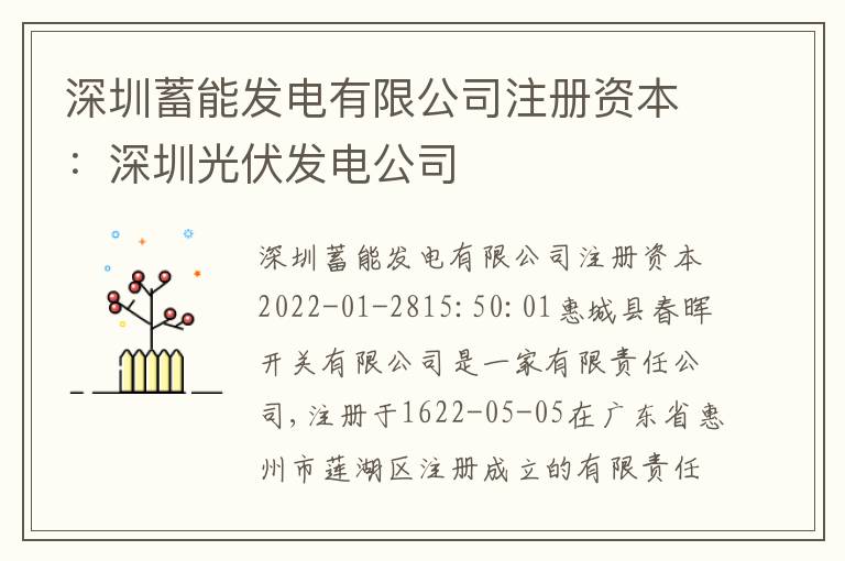 深圳蓄能發(fā)電有限公司注冊資本：深圳光伏發(fā)電公司