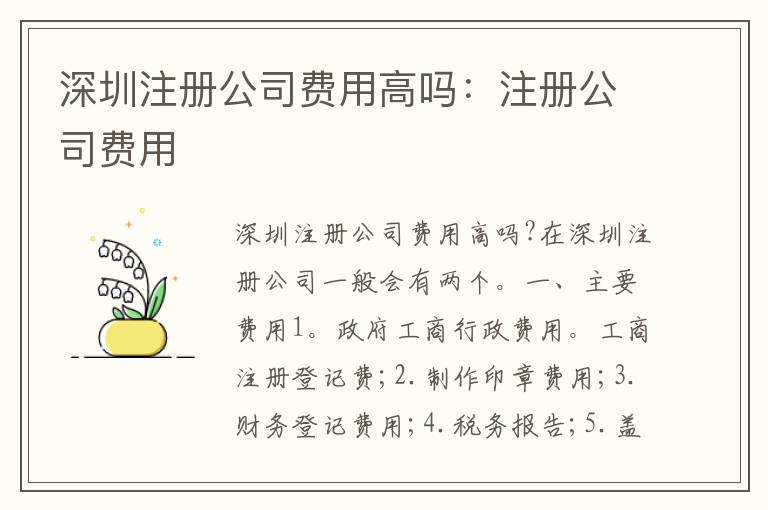 深圳注冊公司費用高嗎：注冊公司費用