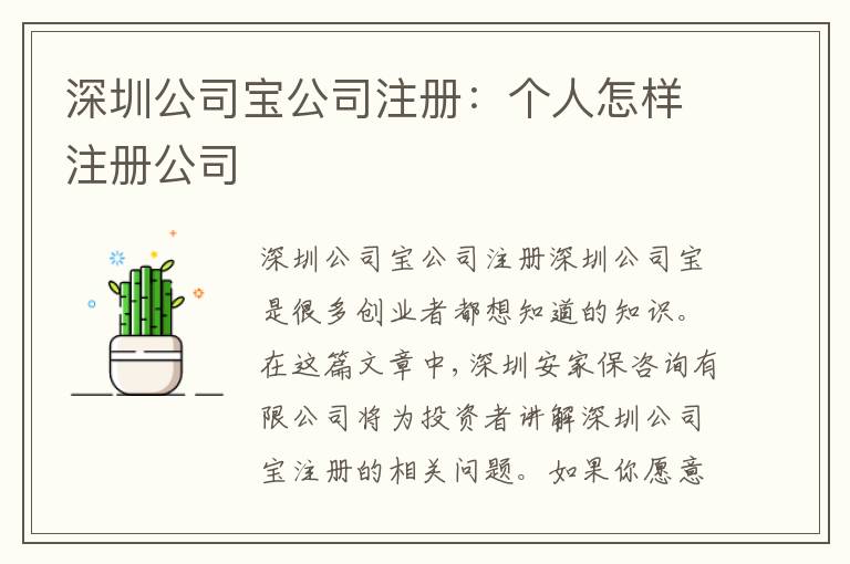 深圳公司寶公司注冊(cè)：個(gè)人怎樣注冊(cè)公司