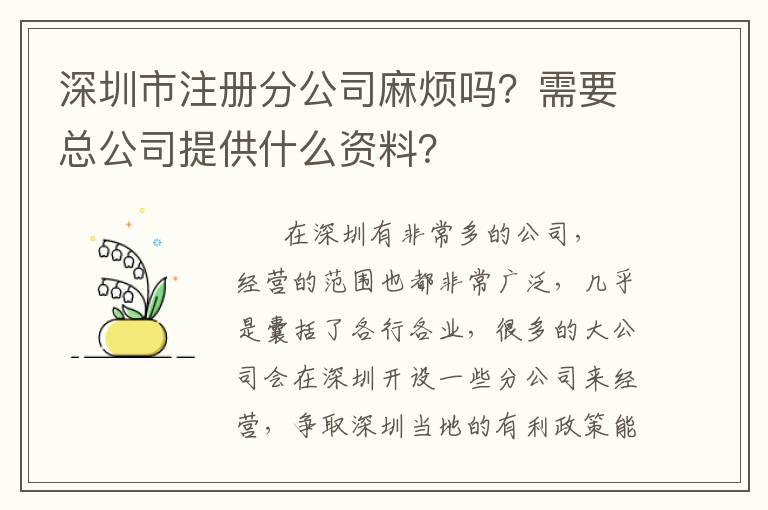 深圳市注冊分公司麻煩嗎？需要總公司提供什么資料？