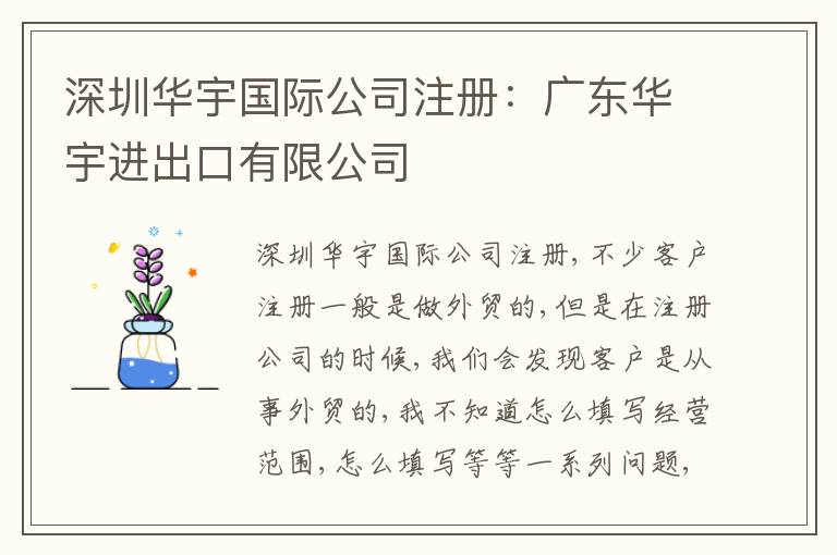 深圳華宇國際公司注冊：廣東華宇進出口有限公司