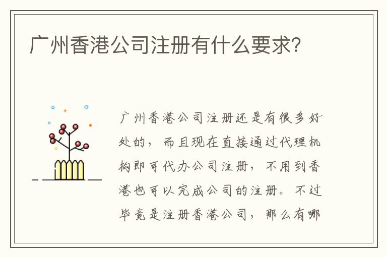 廣州香港公司注冊有什么要求？