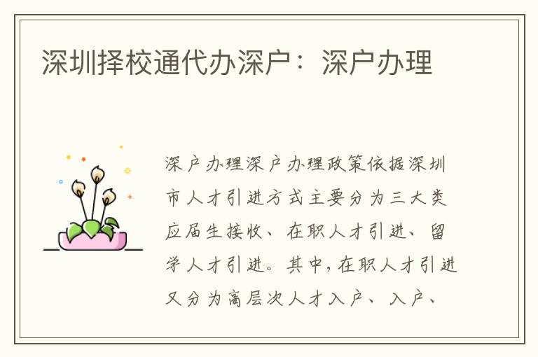 深圳擇校通代辦深戶：深戶辦理