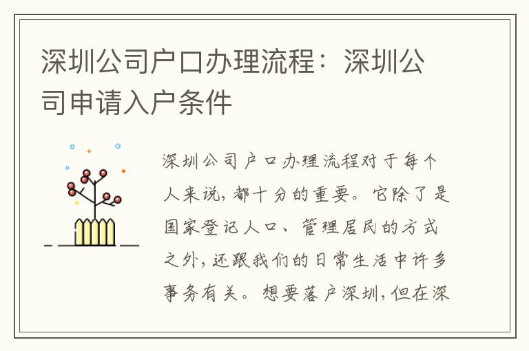 深圳公司戶口辦理流程：深圳公司申請(qǐng)入戶條件