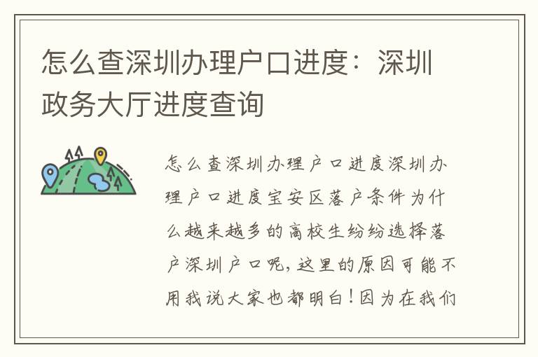怎么查深圳辦理戶口進度：深圳政務(wù)大廳進度查詢