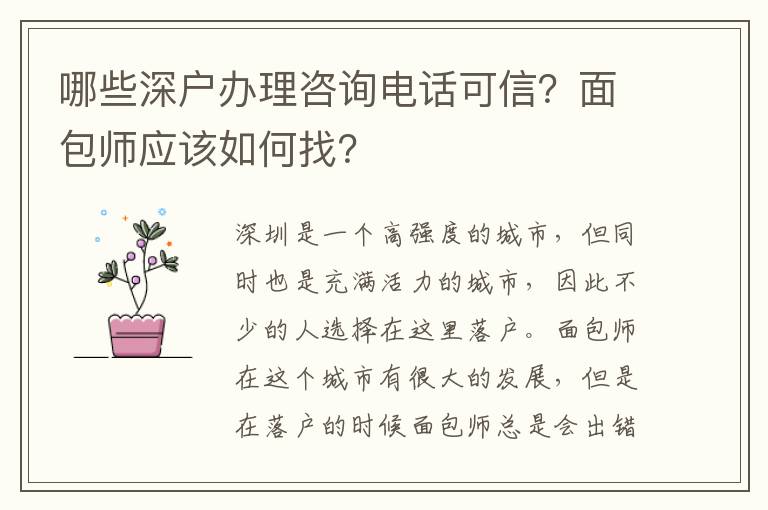 哪些深戶辦理咨詢電話可信？面包師應(yīng)該如何找？