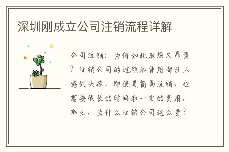 深圳剛成立公司注銷流程詳解