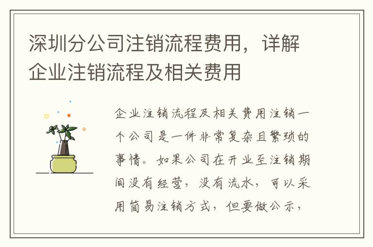 深圳分公司注銷流程費(fèi)用，詳解企業(yè)注銷流程及相關(guān)費(fèi)用