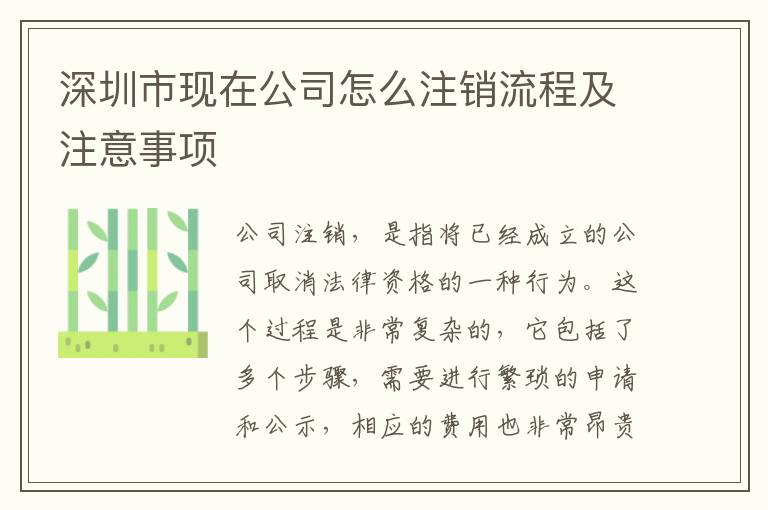 深圳市現(xiàn)在公司怎么注銷流程及注意事項
