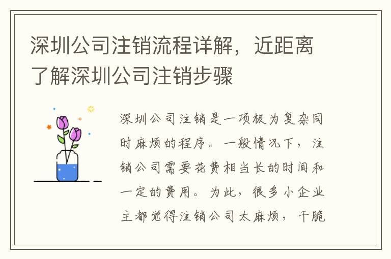 深圳公司注銷流程詳解，近距離了解深圳公司注銷步驟