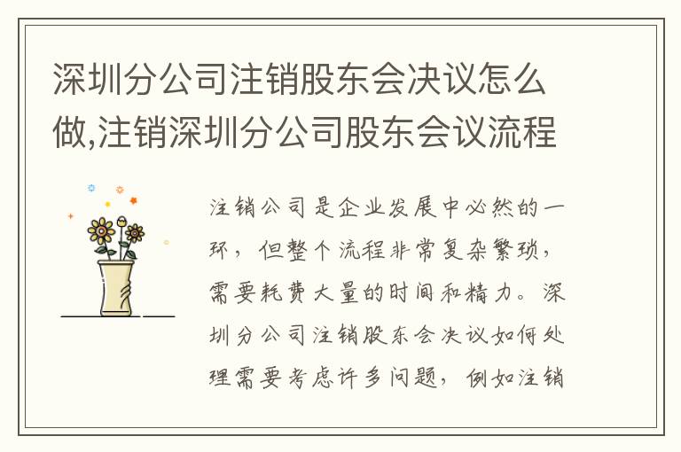 深圳分公司注銷股東會決議怎么做,注銷深圳分公司股東會議流程詳解5