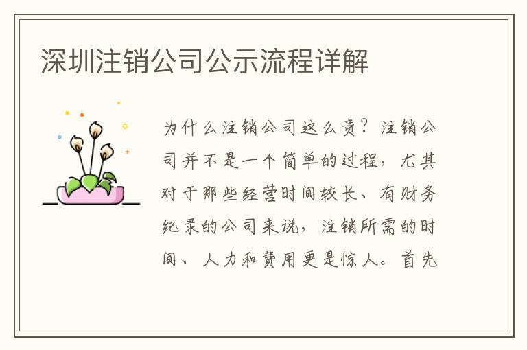 深圳注銷公司公示流程詳解