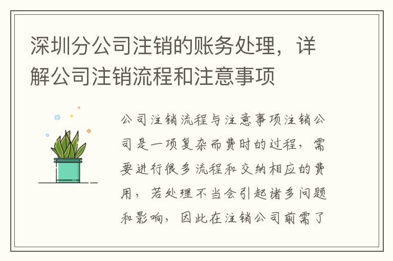 深圳分公司注銷的賬務(wù)處理，詳解公司注銷流程和注意事項(xiàng)