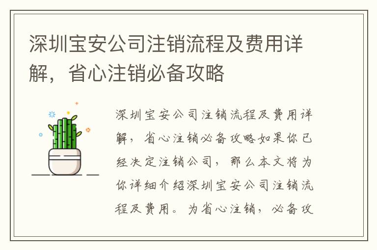 深圳寶安公司注銷流程及費(fèi)用詳解，省心注銷必備攻略