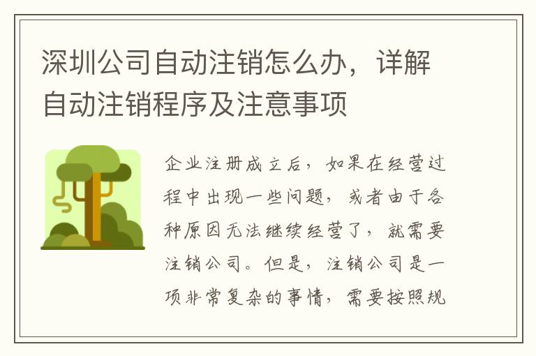 深圳公司自動注銷怎么辦，詳解自動注銷程序及注意事項