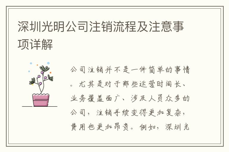 深圳光明公司注銷流程及注意事項(xiàng)詳解