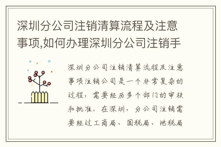 深圳分公司注銷清算流程及注意事項,如何辦理深圳分公司注銷手續(xù)