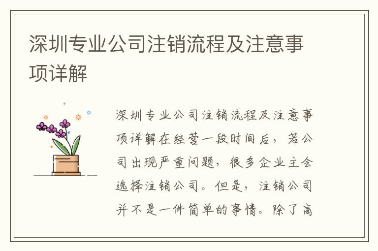 深圳專業(yè)公司注銷流程及注意事項詳解