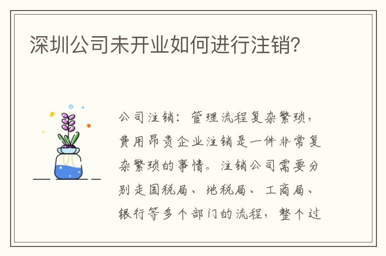 深圳公司未開(kāi)業(yè)如何進(jìn)行注銷？