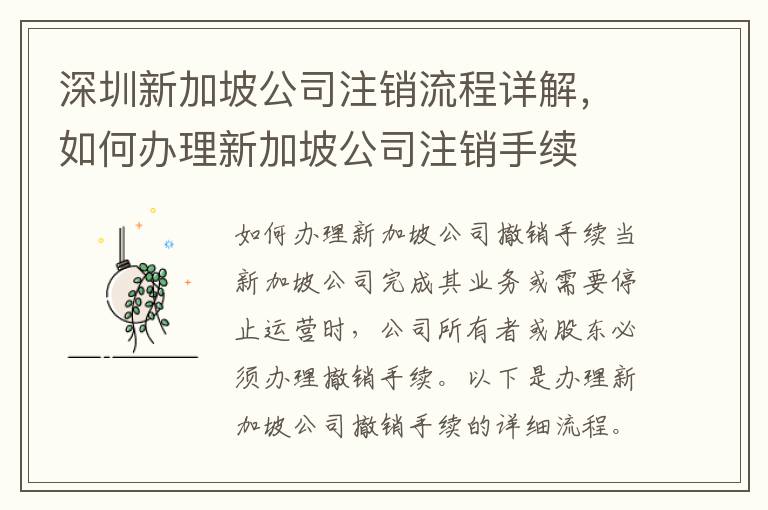 深圳新加坡公司注銷流程詳解，如何辦理新加坡公司注銷手續(xù)