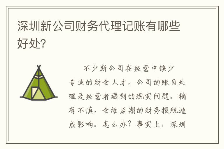 深圳新公司財務(wù)代理記賬有哪些好處？