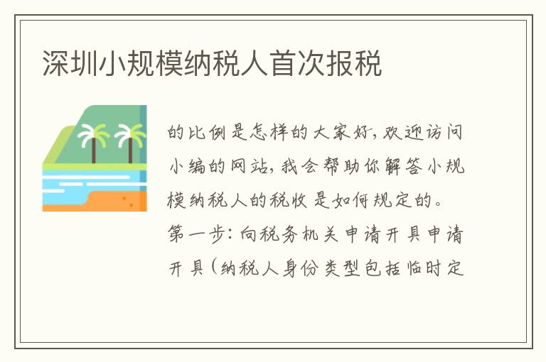 深圳小規(guī)模納稅人首次報(bào)稅