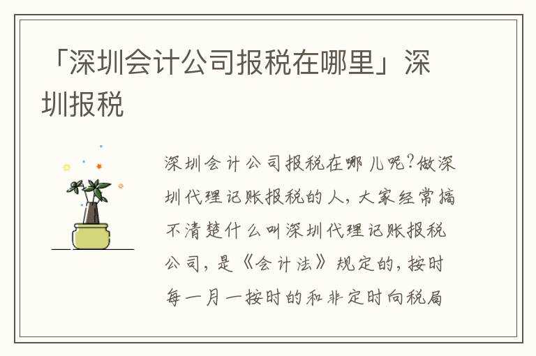 「深圳會(huì)計(jì)公司報(bào)稅在哪里」深圳報(bào)稅