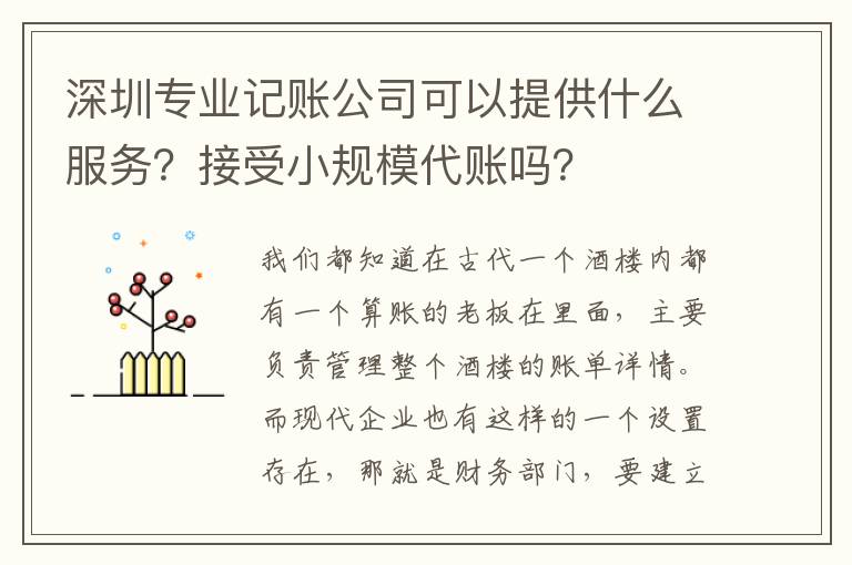 深圳專業(yè)記賬公司可以提供什么服務(wù)？接受小規(guī)模代賬嗎？