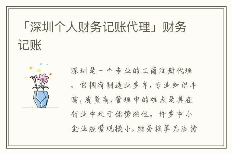 「深圳個人財務記賬代理」財務記賬