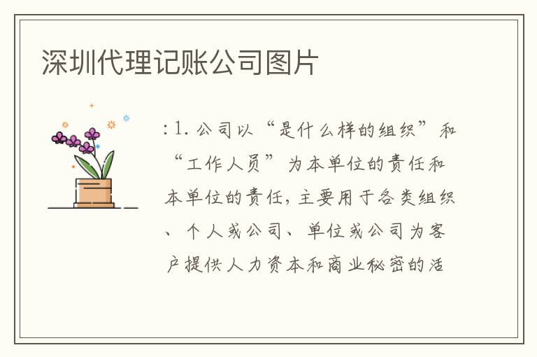 深圳代理記賬公司圖片