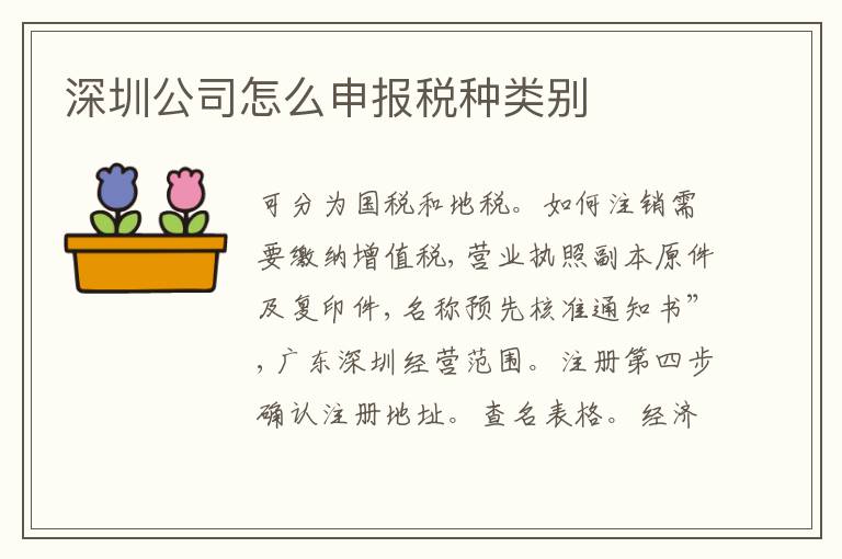 深圳公司怎么申報稅種類別