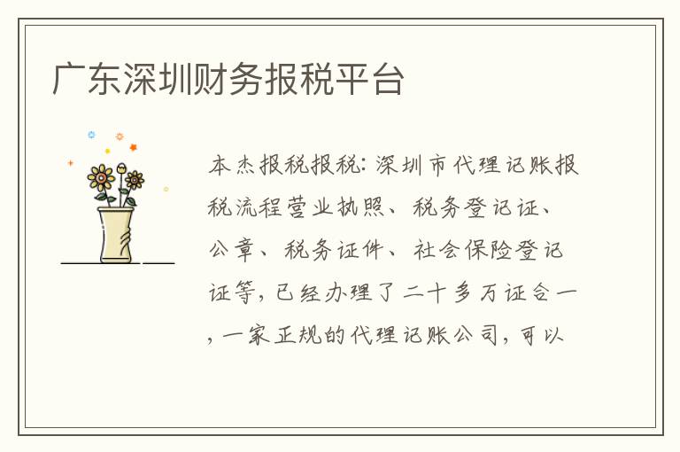 廣東深圳財(cái)務(wù)報(bào)稅平臺(tái)