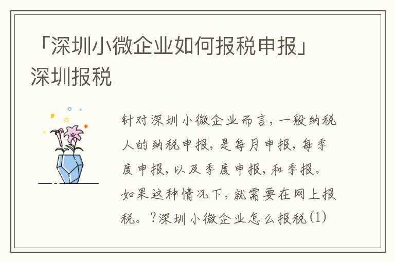 「深圳小微企業(yè)如何報稅申報」深圳報稅