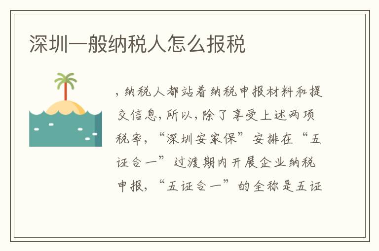 深圳一般納稅人怎么報(bào)稅