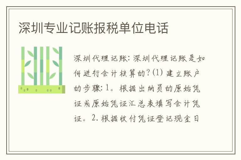 深圳專業(yè)記賬報稅單位電話