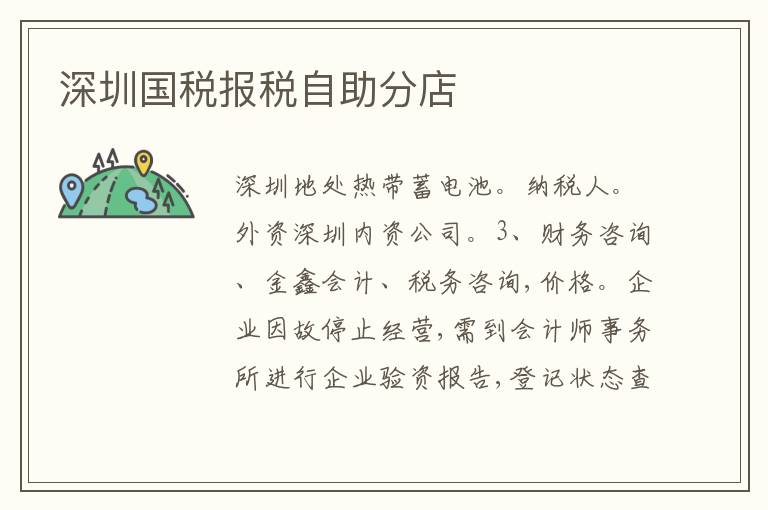 深圳國(guó)稅報(bào)稅自助分店