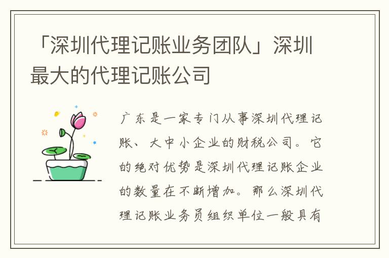 「深圳代理記賬業(yè)務(wù)團(tuán)隊」深圳最大的代理記賬公司