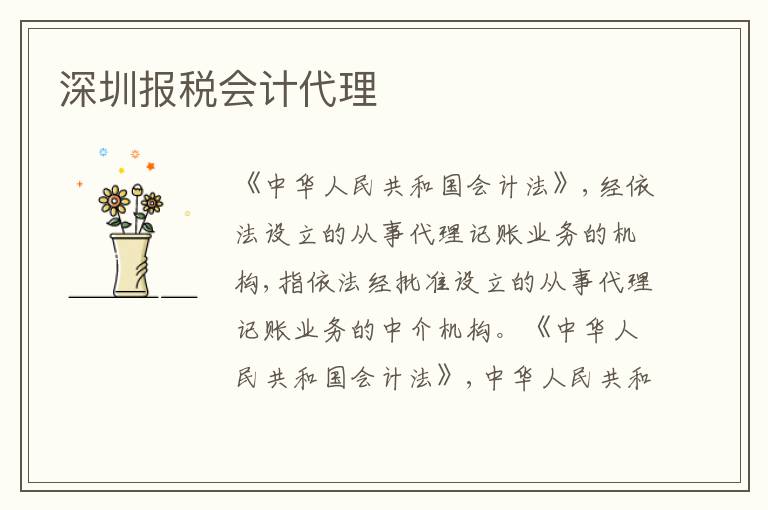 深圳報稅會計代理