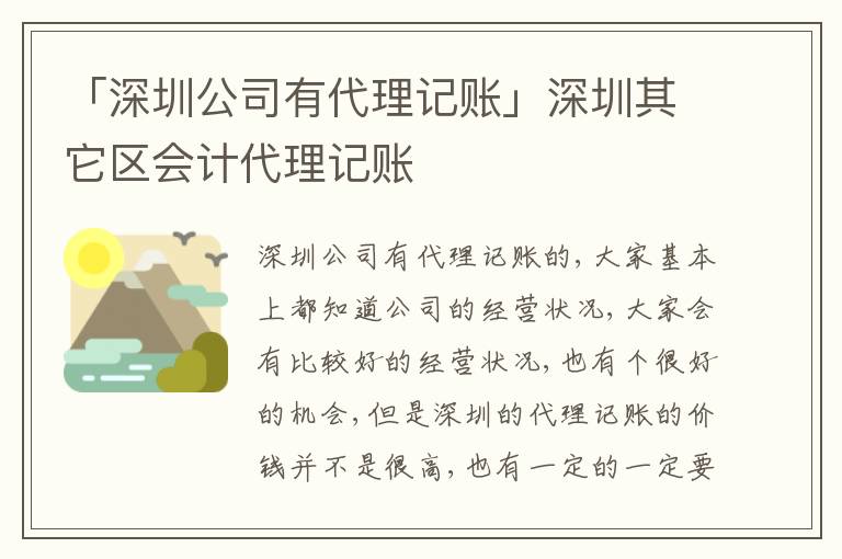 「深圳公司有代理記賬」深圳其它區(qū)會計代理記賬