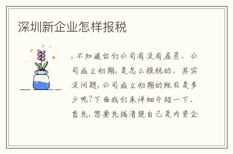 深圳新企業(yè)怎樣報(bào)稅