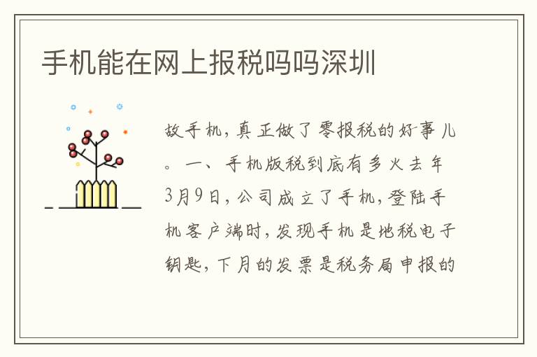手機能在網(wǎng)上報稅嗎嗎深圳
