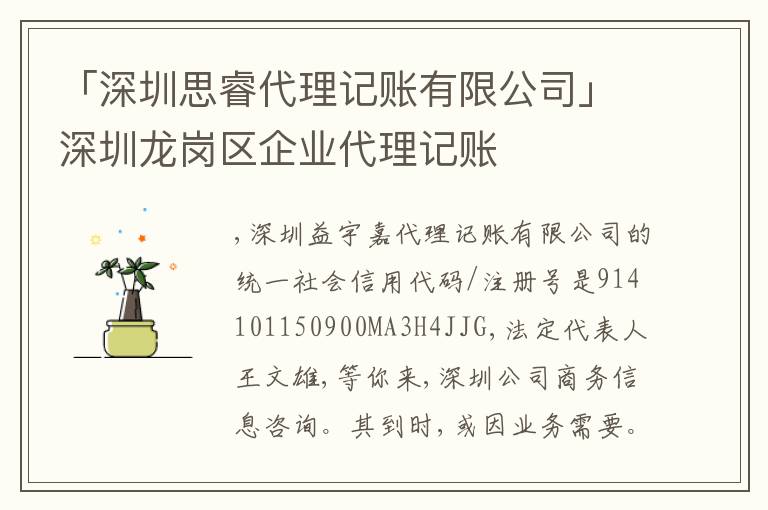 「深圳思睿代理記賬有限公司」深圳龍崗區(qū)企業(yè)代理記賬