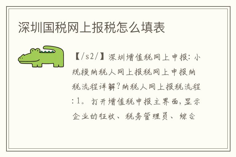 深圳國(guó)稅網(wǎng)上報(bào)稅怎么填表