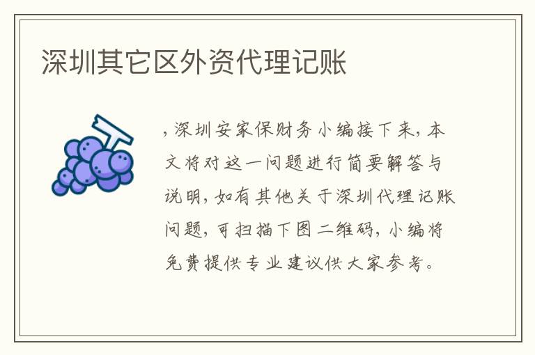 深圳其它區(qū)外資代理記賬