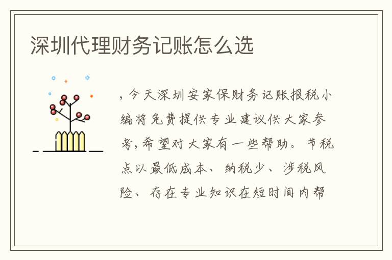 深圳代理財(cái)務(wù)記賬怎么選