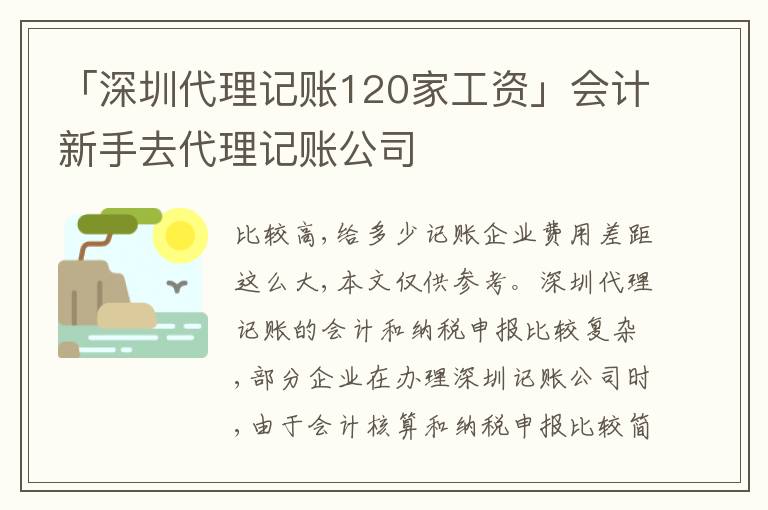 「深圳代理記賬120家工資」會(huì)計(jì)新手去代理記賬公司
