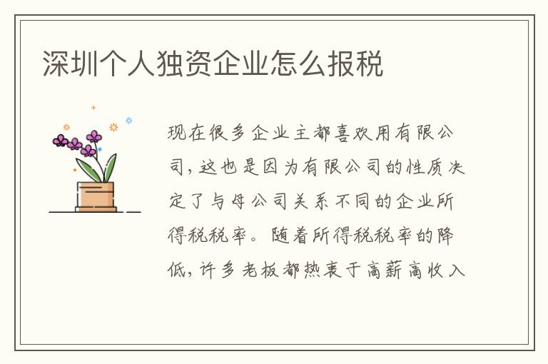 深圳個(gè)人獨(dú)資企業(yè)怎么報(bào)稅