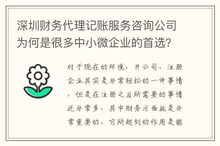 深圳財(cái)務(wù)代理記賬服務(wù)咨詢公司為何是很多中小微企業(yè)的首選？